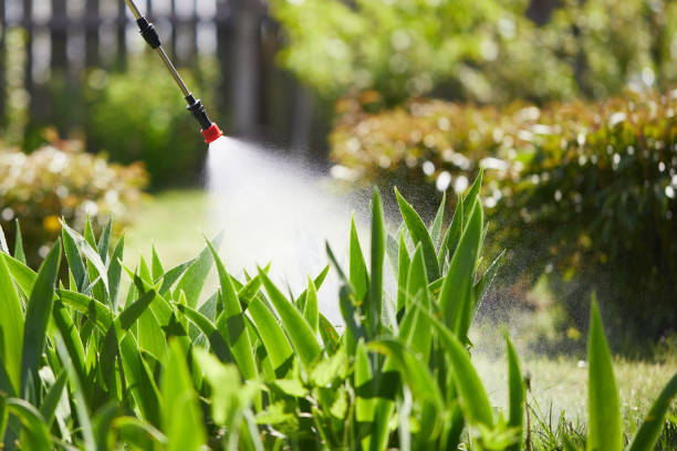 24/7 Emergency Mosquito Control experts in Seneca, KS
